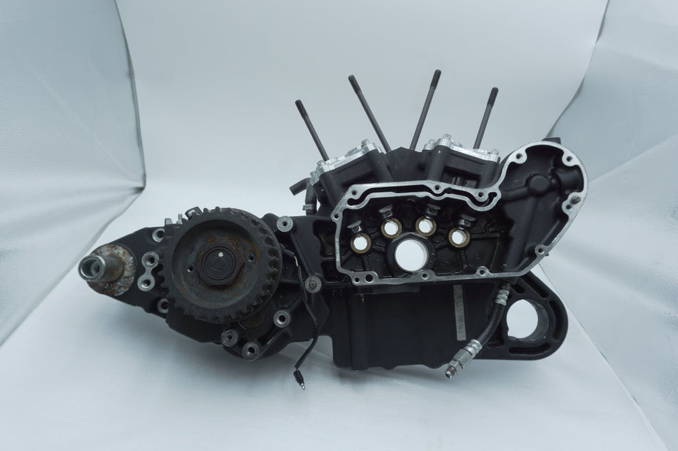 2004 - 2013 Harley-Davidson Sportster Low Crankcase Shaft Engine Motor Cover 24558-06