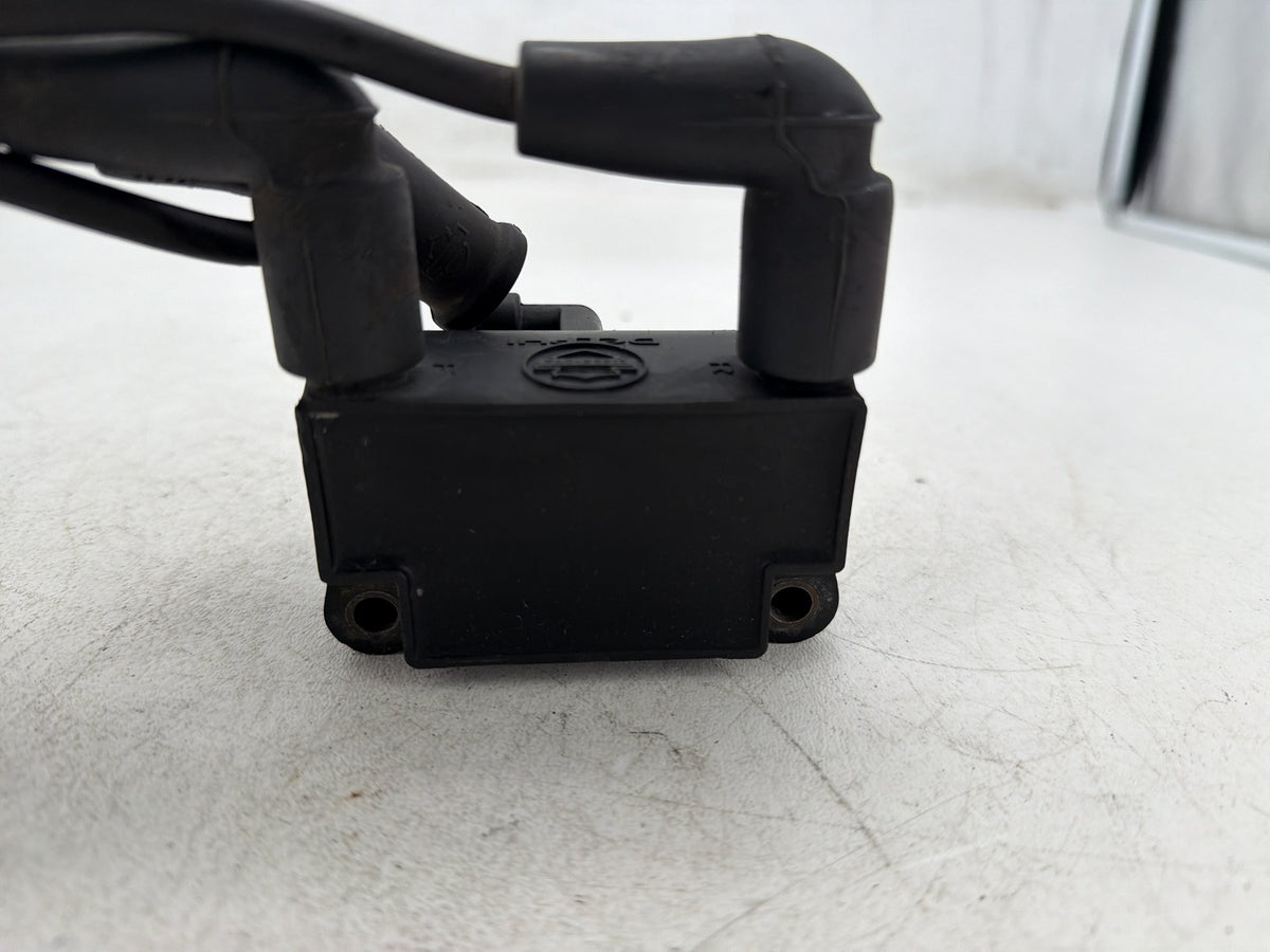 2012 Harley Electra Glide Touring Ultra OEM Ignition Coil Spark Plugs Cable