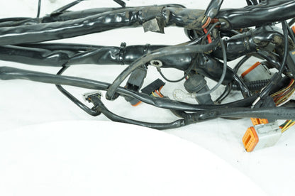 1999 - 2006 Harley-Davidson Touring Electra Glide Main Wire Wiring Harness Loom  	70985-02