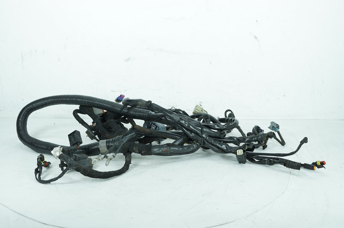 2008 Harley Dyna FXDWG 105th Wide Glide OEM Main Wire Wiring Harness Loom