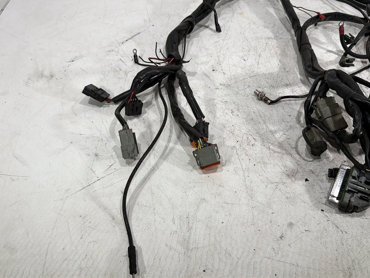 2005 Harley Electra Glide Touring CVO Eagle OEM Main Wire Wiring Harness Loom