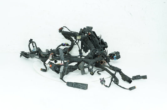 2018 - 2026 Harley-Davidson Softail Low Rider S Main Wire Wiring Harness Loom ABS 69201492