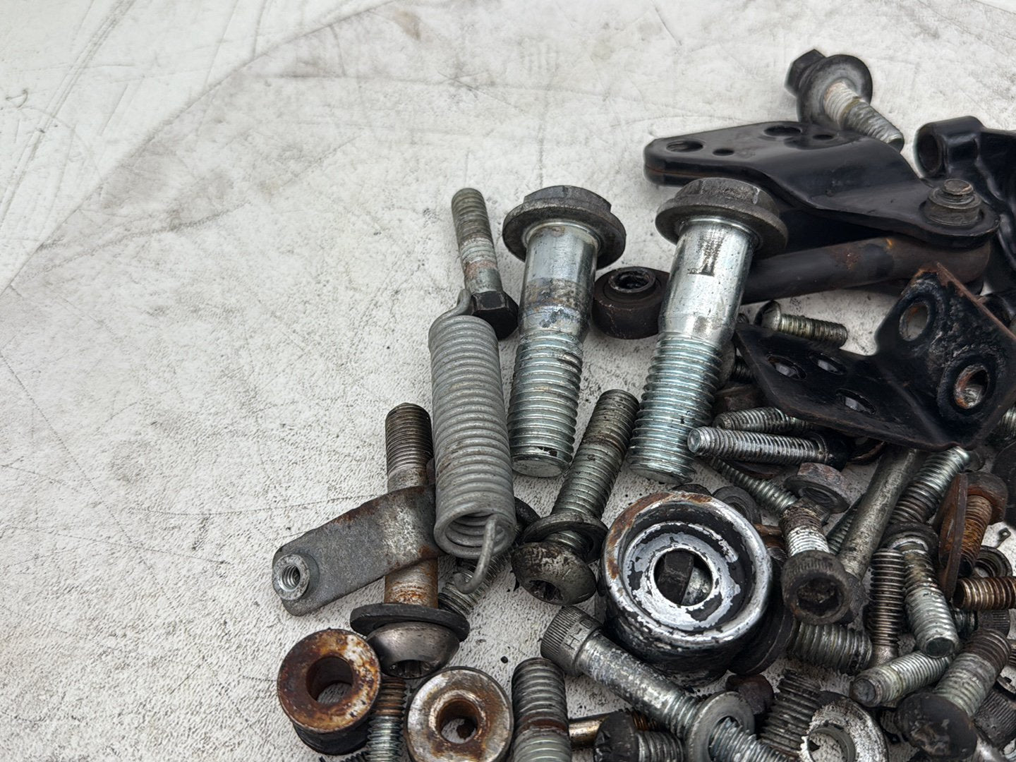 2004 Harley Sportster XL883C 883 Custom OEM Hardware Bolts Nuts & Brackets