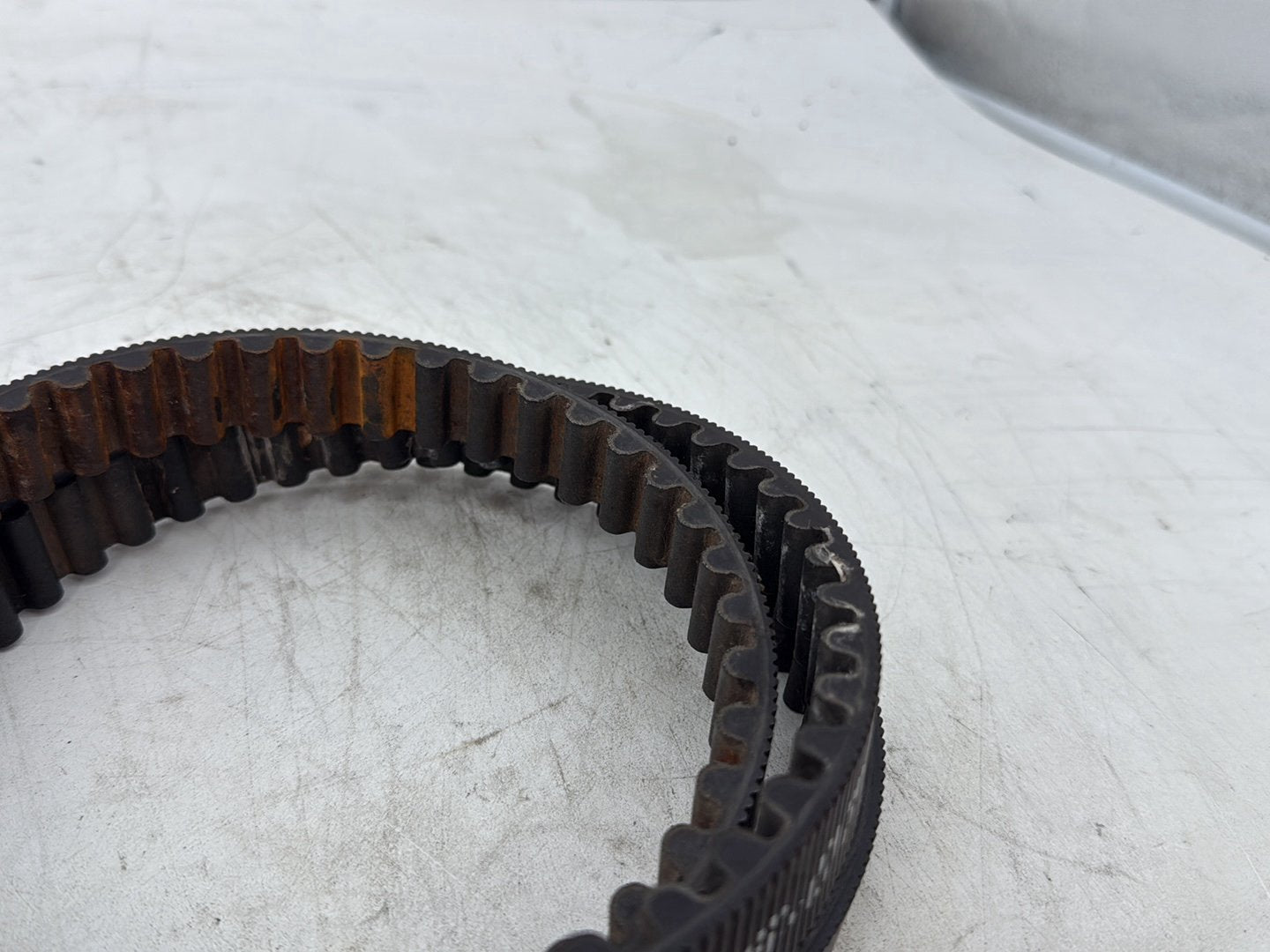 2012 Harley Dyna FXDF Fat Bob OEM Rear Drive Belt