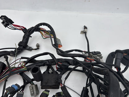 1999 - 2006 Harley-Davidson Touring Electra Glide Classic Main Wire Wiring Harness Loom 70985-01