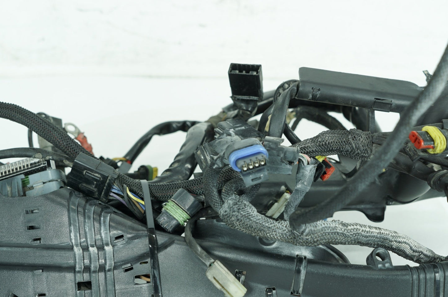 2004 - 2022 Harley-Davidson Sportster Custom Anniversary Main Wire Wiring Harness Loom 70181-08