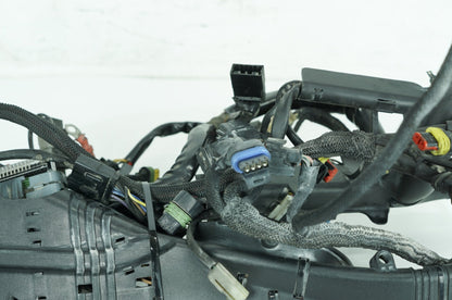 2004 - 2022 Harley-Davidson Sportster Custom Anniversary Main Wire Wiring Harness Loom 70181-08