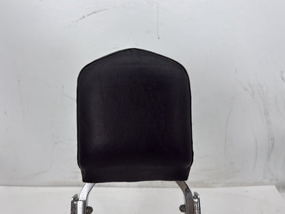 2009 Harley Sportster 883 Low XL883L OEM Rear Sissy Bar w/ Backrest Cushion Pad
