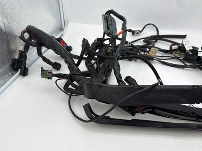 1999 - 2006 Harley-Davidson Touring Electra Glide Ultra Main Wire Wiring Harness Loom 71000-06