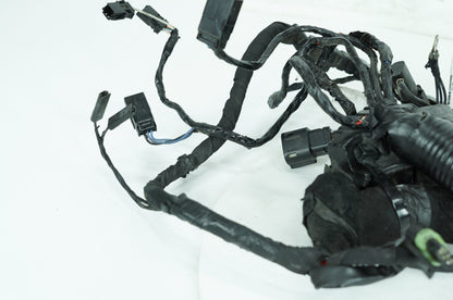 2007 - 2017 Harley-Davidson Dyna Street Bob Main Wire Wiring Harness Loom 71072-12A