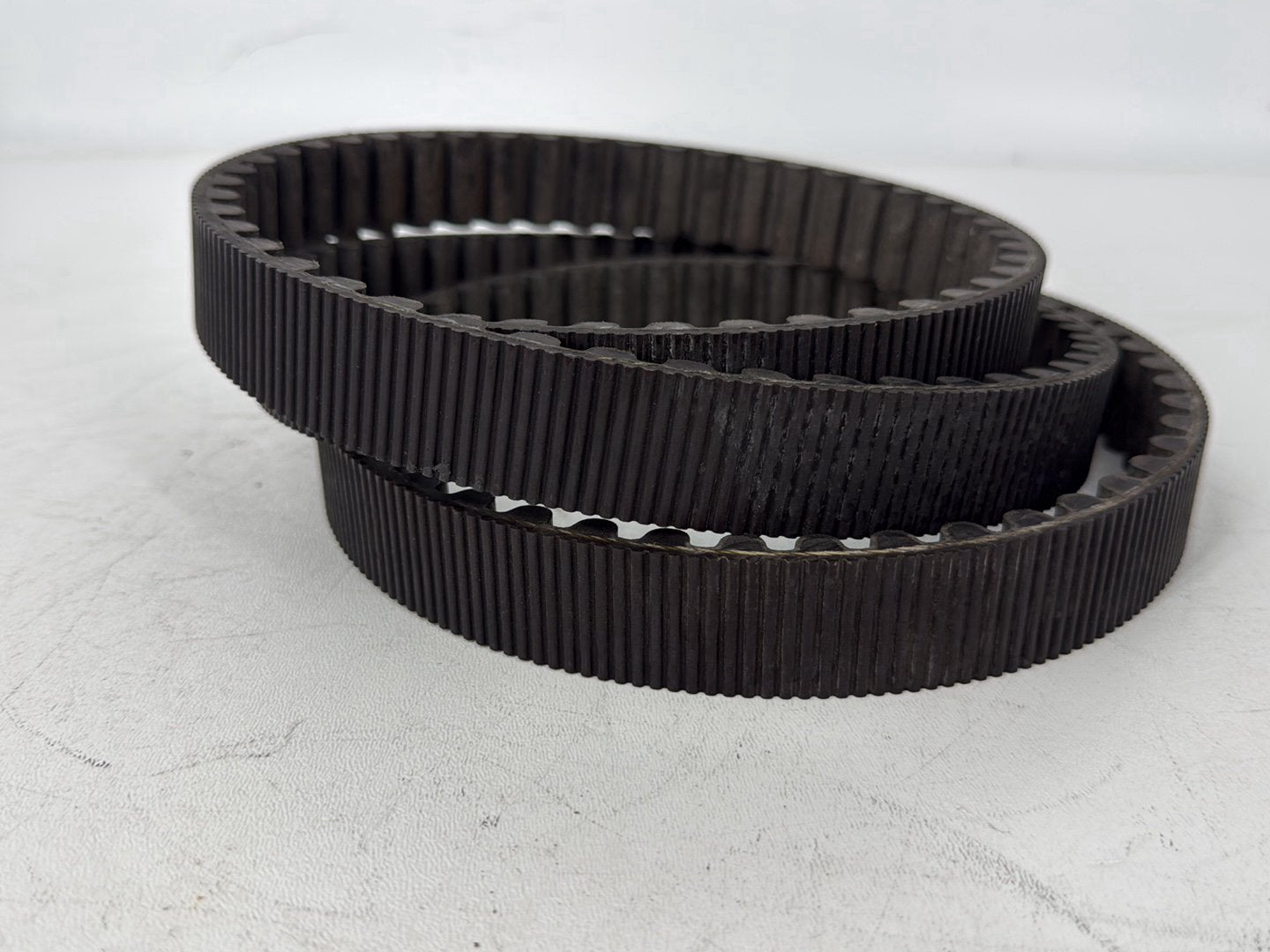 2005 Harley Sportster XL883C 883 Custom OEM Rear Drive Belt