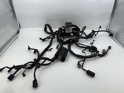 2007 Harley Softail Heritage Classic FLSTC OEM Main Wire Wiring Harness Loom