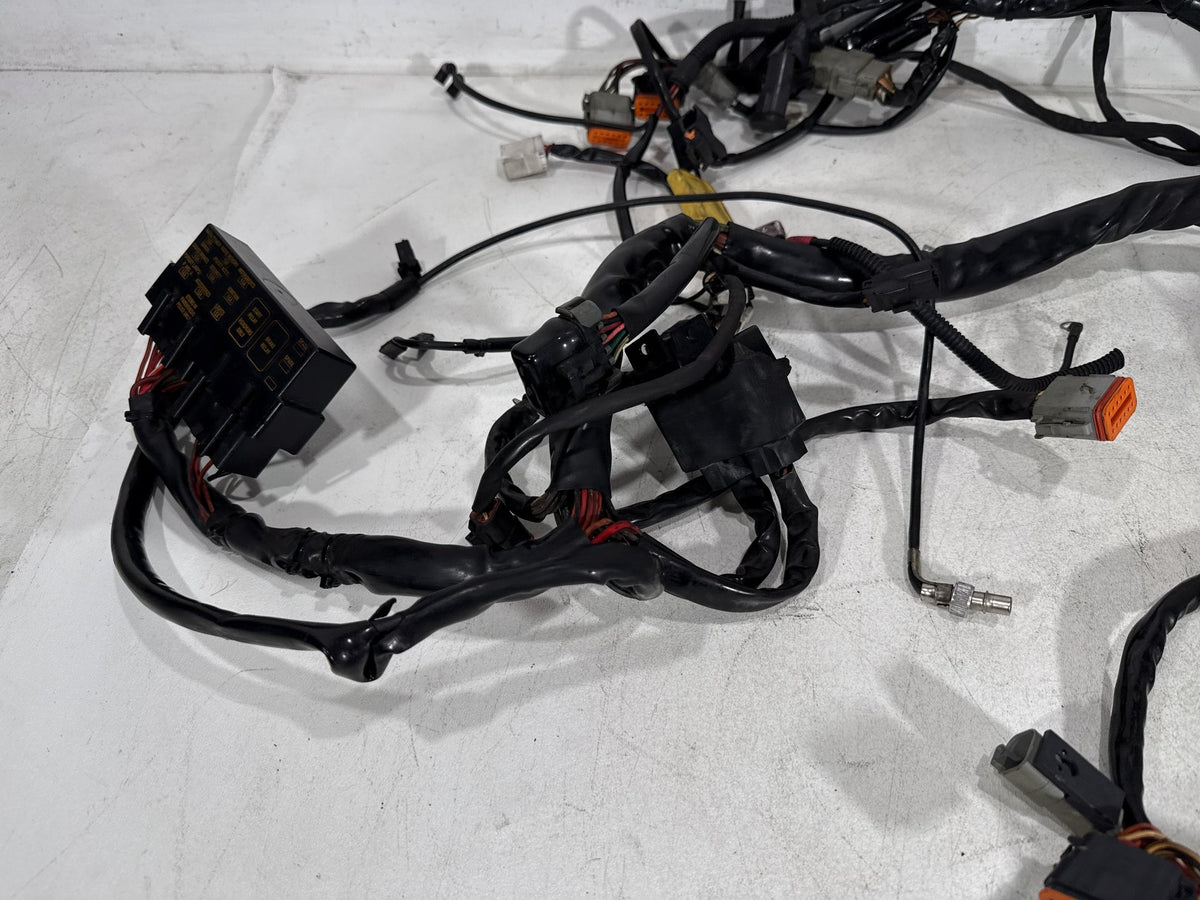 2002 Harley Electra Glide Touring Classic OEM Main Wire Wiring Harness Loom CARB