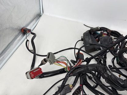 1999 - 2006 Harley-Davidson Touring Electra Glide Classic Main Wire Wiring Harness Loom 70985-01