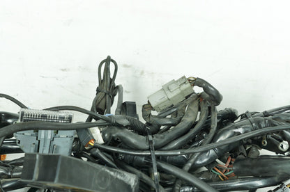 1999 - 2006 Harley-Davidson Touring Electra Glide Ultra Main Wire Wiring Harness Loom 70985-03