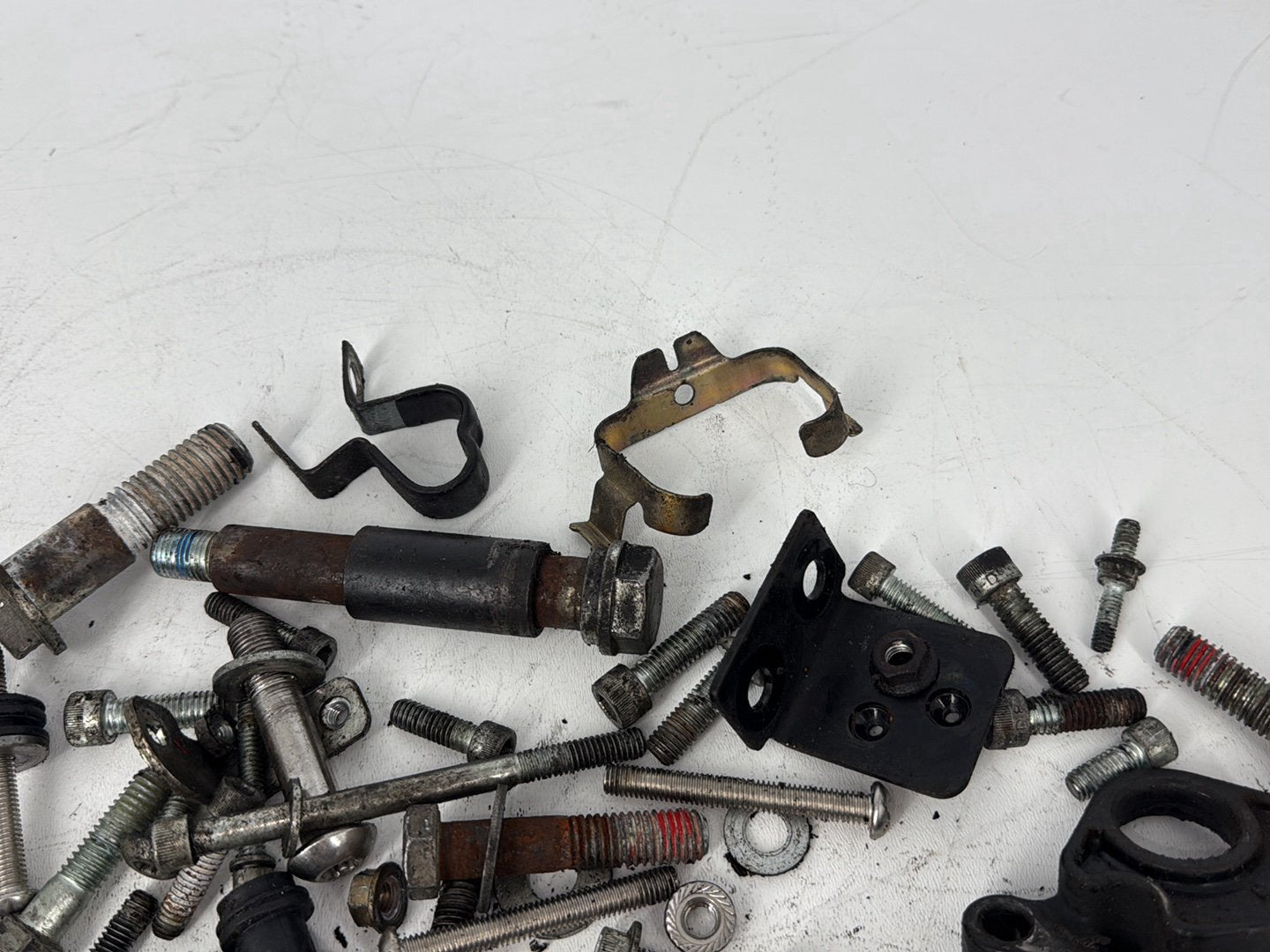 2005 Harley Sportster XL883C 883 Custom OEM Hardware Bolts Nuts & Brackets
