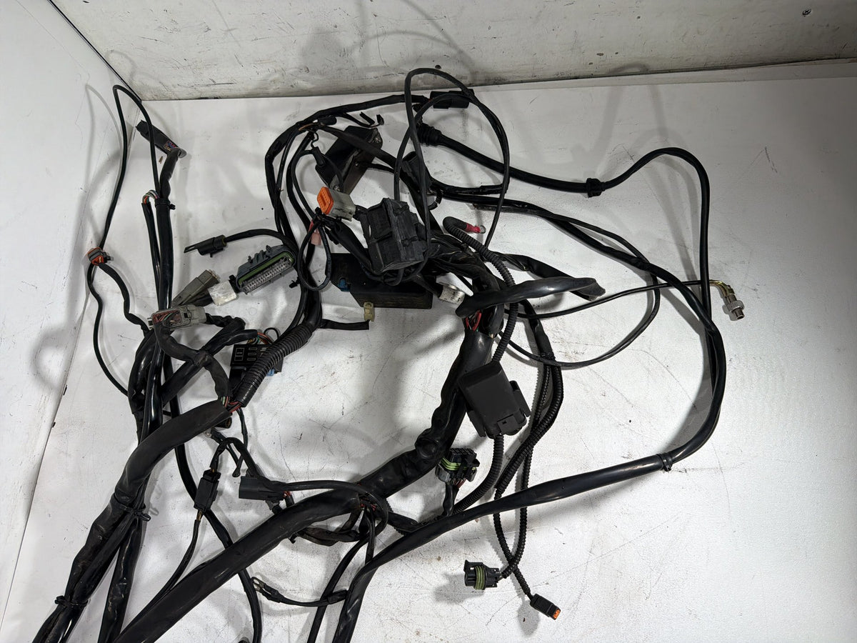 2004 Harley Electra Glide Touring Ultra OEM Main Wire Wiring Harness Loom