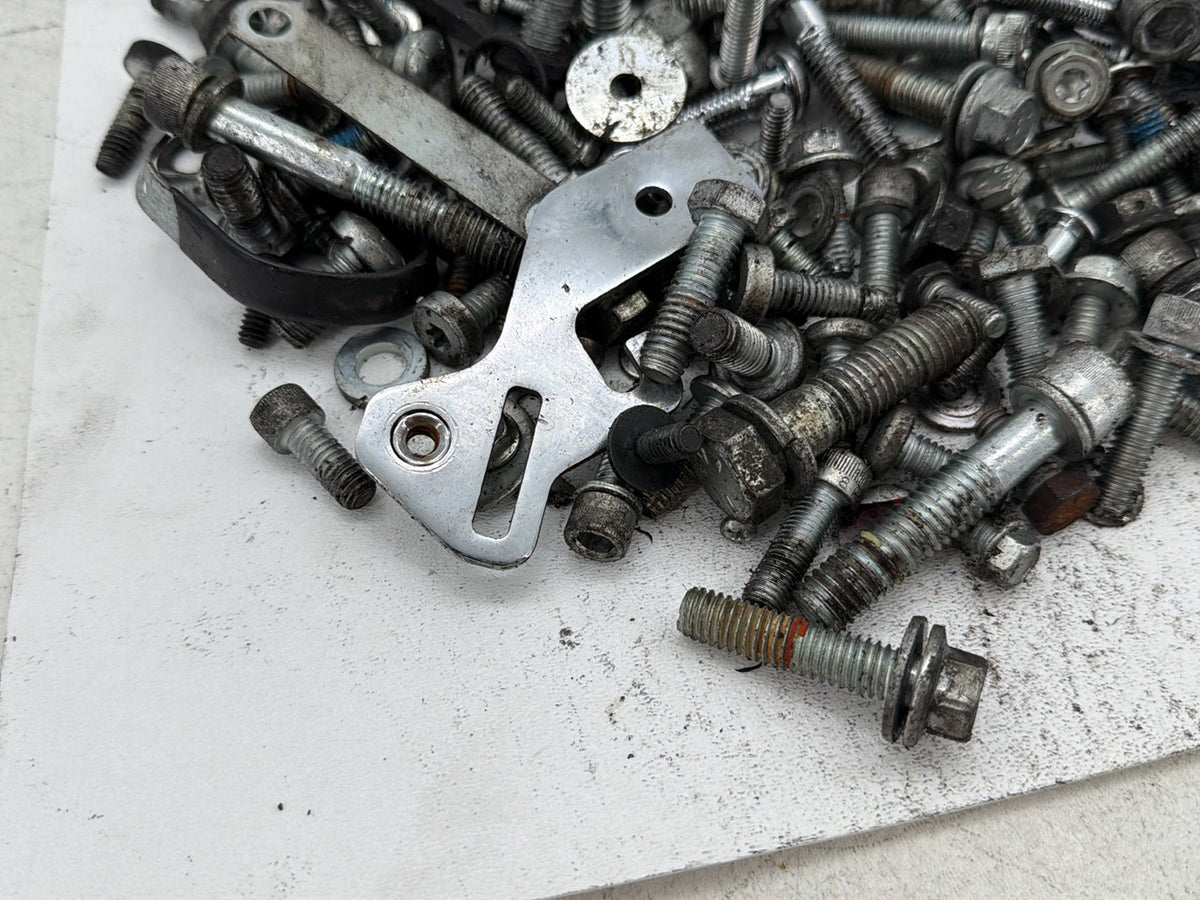 2013 Harley Electra Glide Touring CVO Screamin Hardware Bolts Nuts & Brackets
