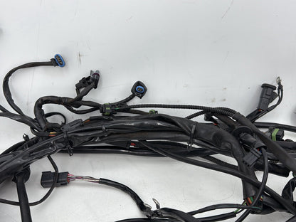 1999 - 2006 Harley-Davidson Touring Electra Glide Ultra Main Wire Wiring Harness Loom 70985-04