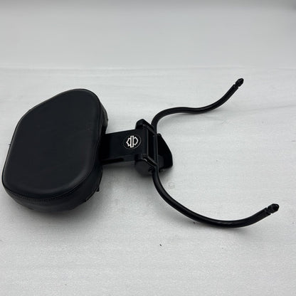 2008 Harley-Davidson Sportster Low Driver Back-Rest Rider Driver Backrest w/ Mounting Bracket Holder