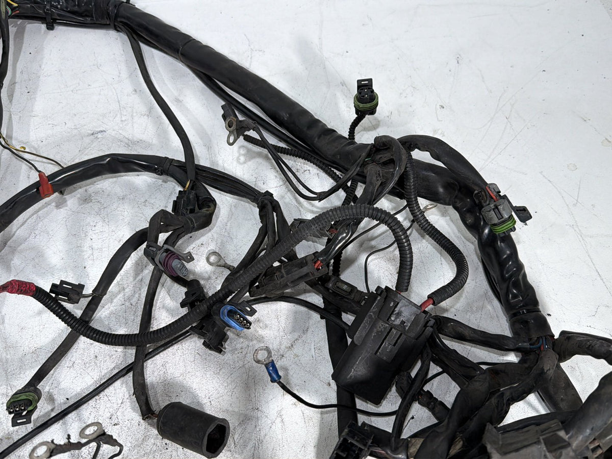 2005 Harley Electra Glide Touring CVO Eagle OEM Main Wire Wiring Harness Loom