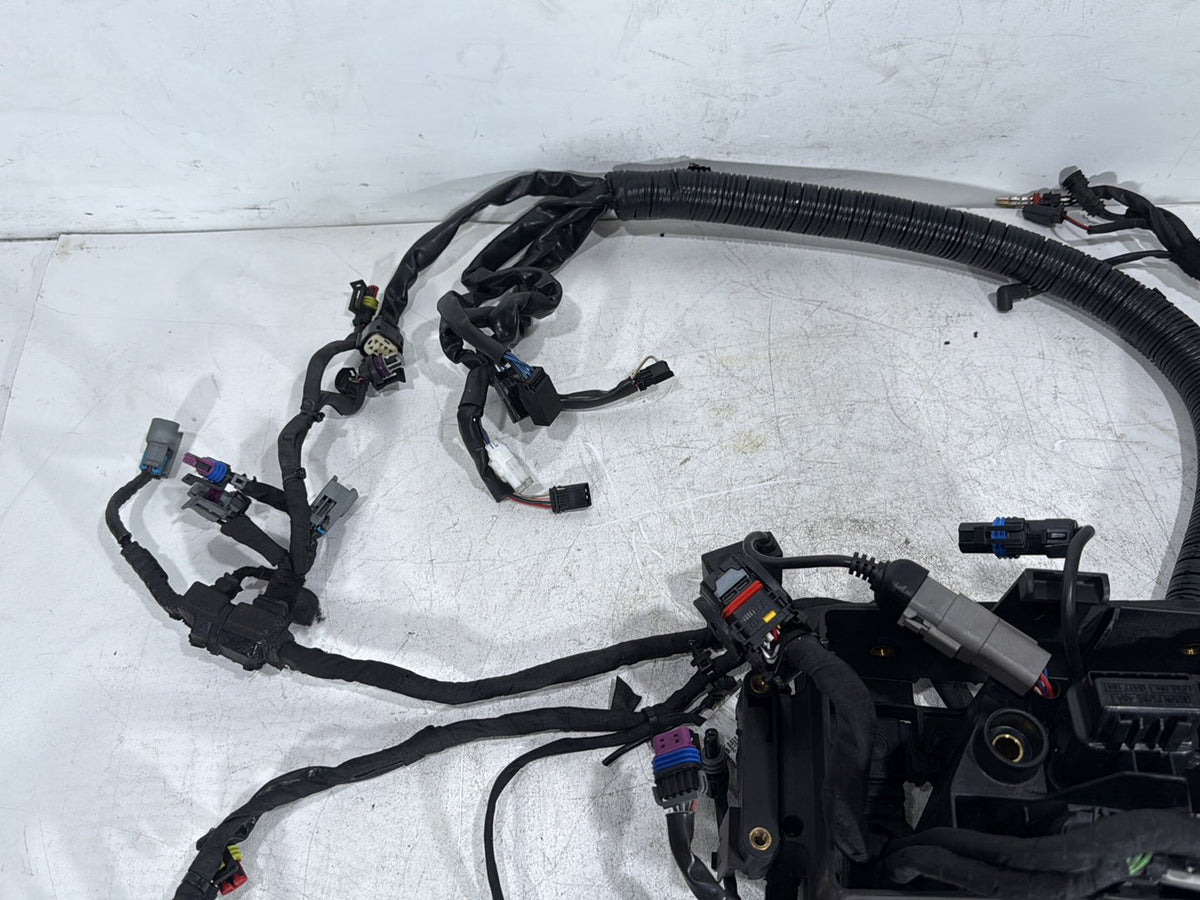 2014 Harley Dyna Low Rider FXDL OEM Main Wire Wiring Harness Loom NON-abs