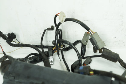 1999 - 2006 Harley-Davidson Touring Road King Main Wire Wiring Harness Loom 70245-06