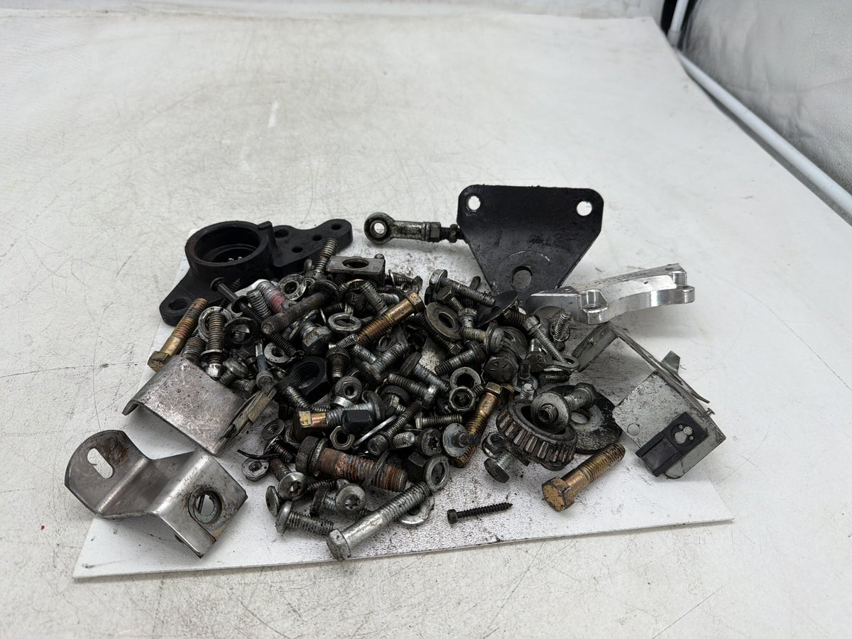 2004 Harley Electra Glide CVO Screamin Eagle OEM Hardware Bolts Nuts & Brackets