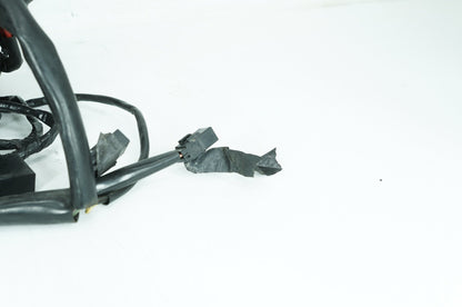 1999 - 2006 Harley-Davidson Dyna Low Rider Main Wire Wiring Harness Loom 69602-04A