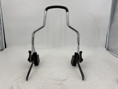 2006 Harley Touring FLHRI Road King OEM Rear Back Sissy Bar Rail Sissybar