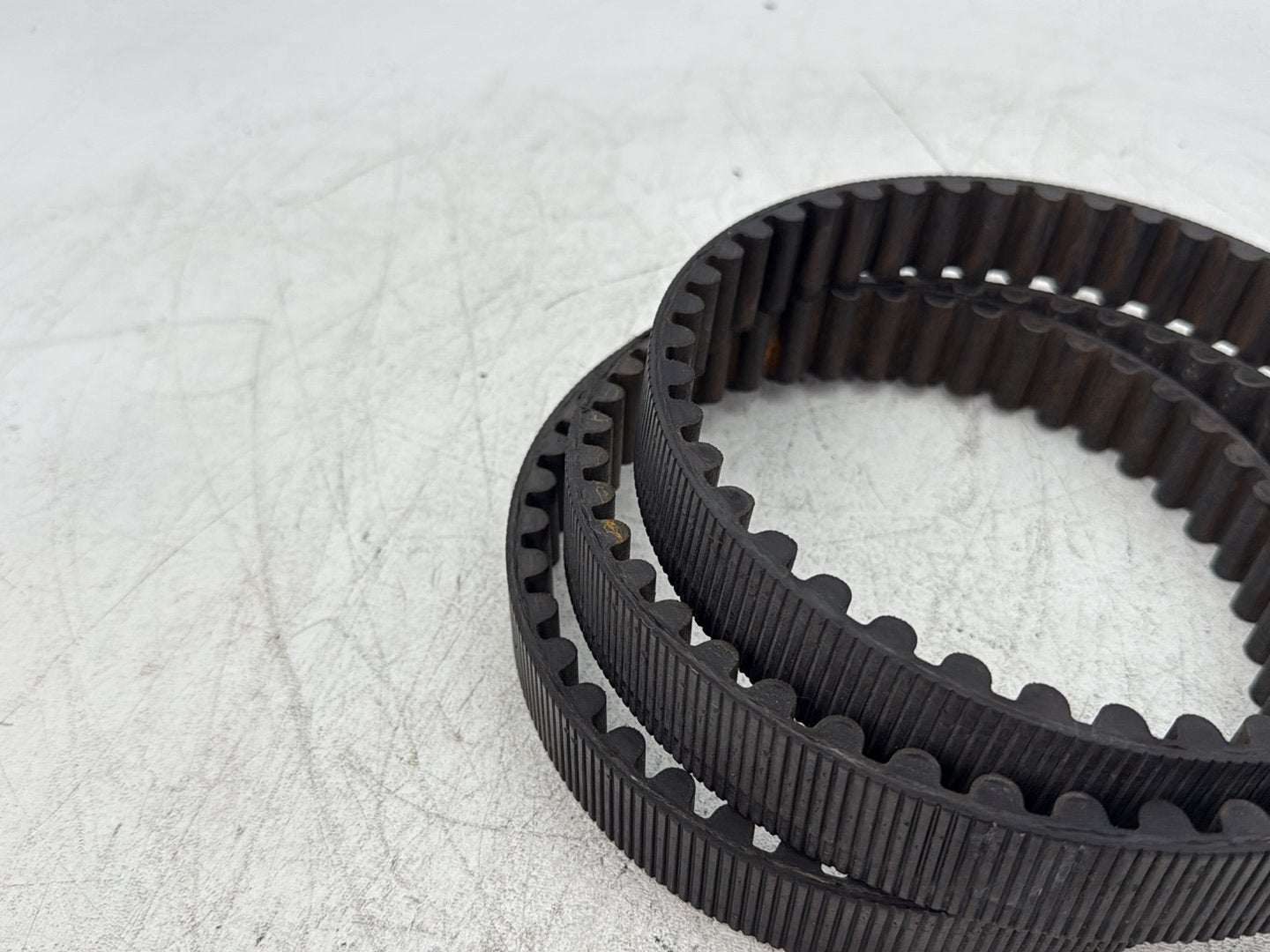 1997 Harley Sportster 1200 Custom XL1200C OEM Rear Drive Belt