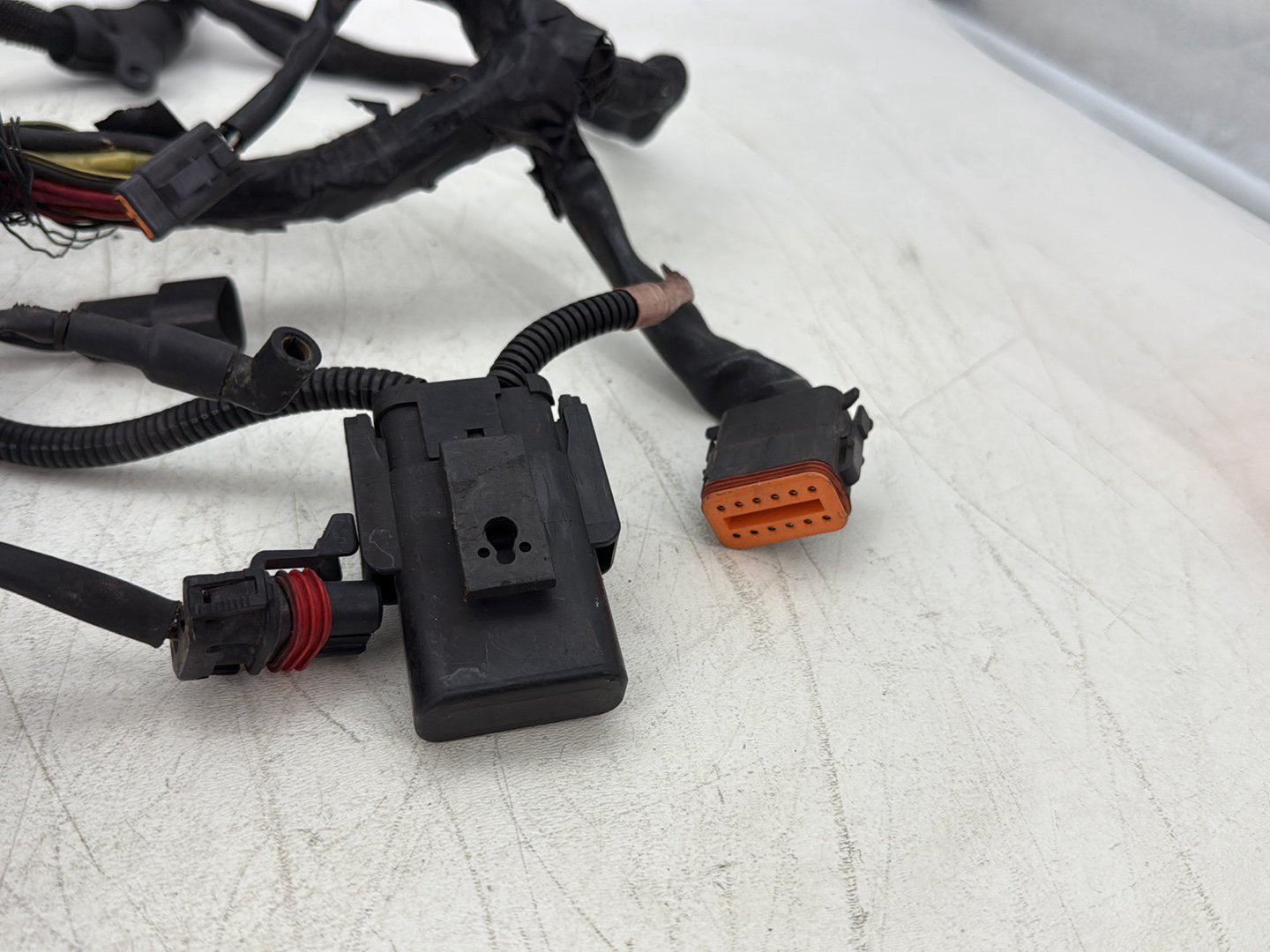 2004 Harley Sportster XL883C 883 Custom OEM Main Wire Wiring Harness Ignition Switch NOKey