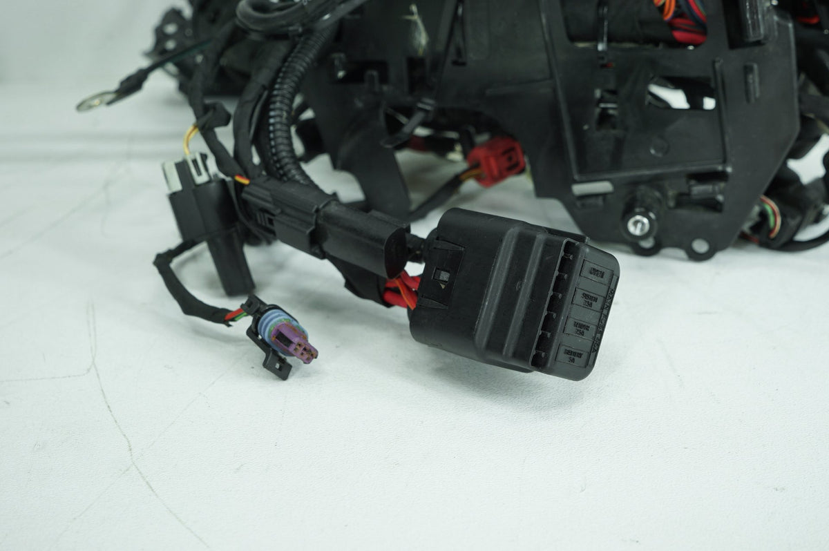 Main Wire Wiring Harness Loom, 69202197, 2024, Harley-Davidson, Softail, Standard, FXST