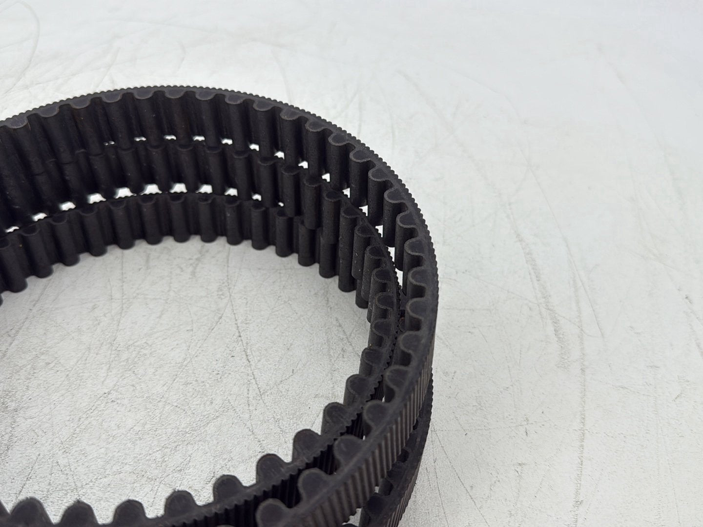 2013 Harley Forty-Eight Sportster 1200X OEM Rear Drive Belt