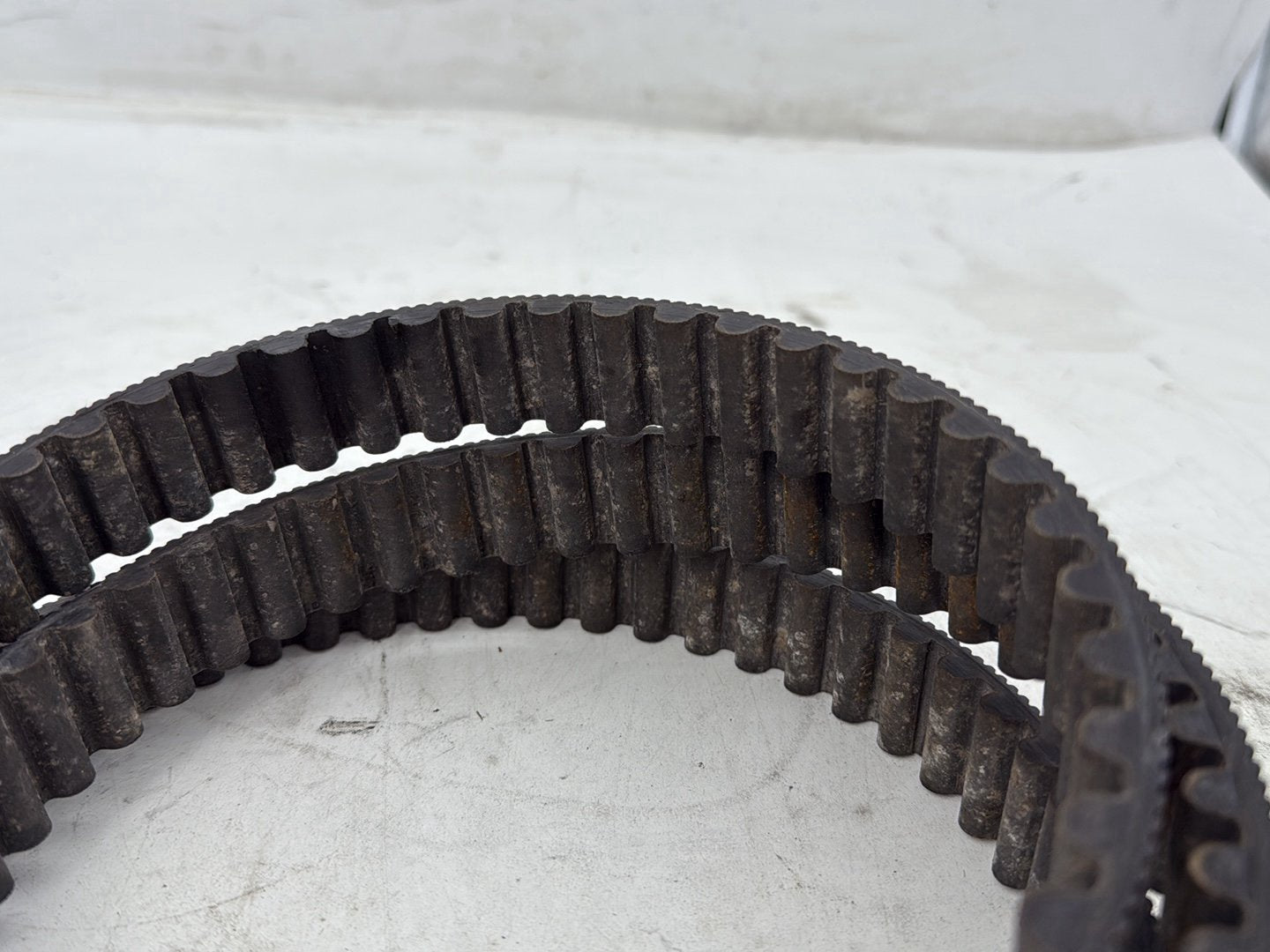 2002 Harley Heritage Softail Classic FLSTC OEM Rear Drive Belt