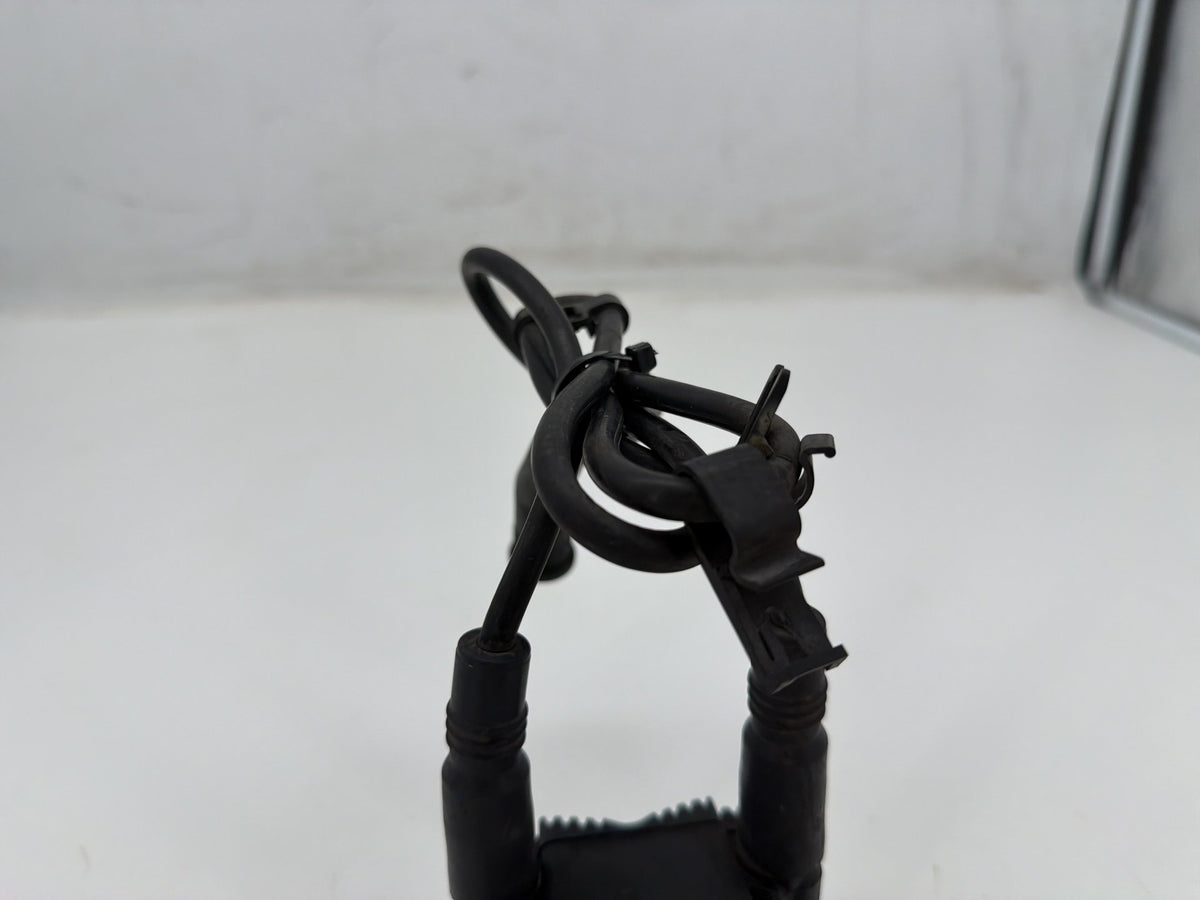2006 Harley Electra Glide Touring Classic OEM Ignition Coil Spark Plugs Cable