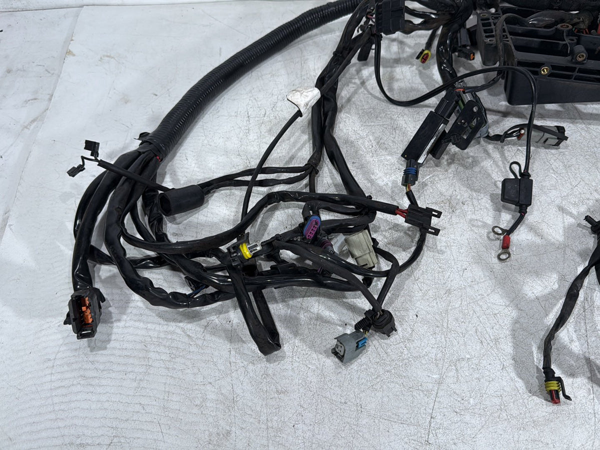 2007 Harley Dyna Street Bob FXDB OEM Main Wire Wiring Harness Loom