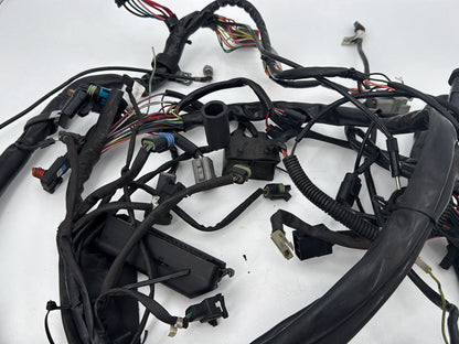 1999 - 2006 Harley-Davidson Touring Electra Glide Classic Main Wire Wiring Harness Loom 70985-01