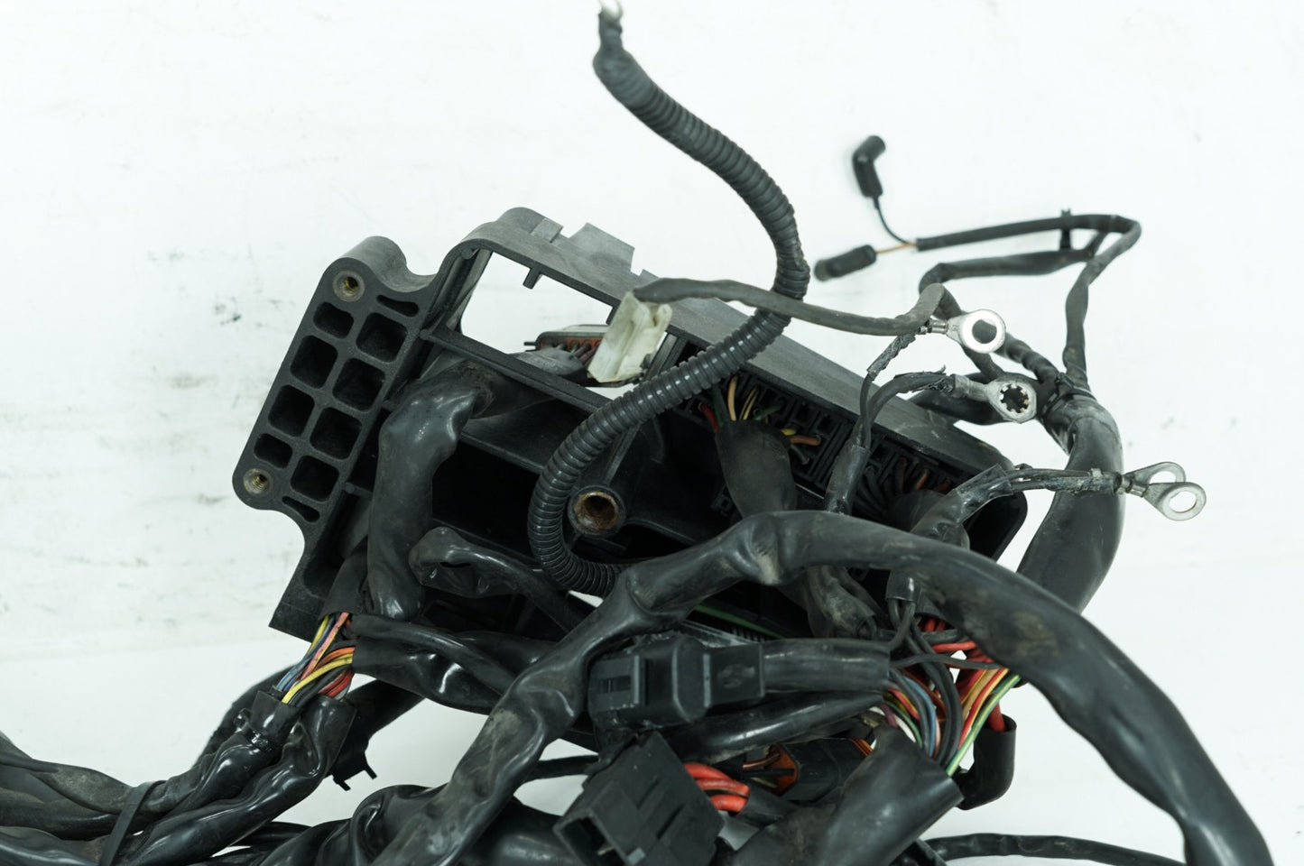 1999 - 2006 Harley-Davidson Dyna Low Rider Main Wire Wiring Harness Loom 69602-04A