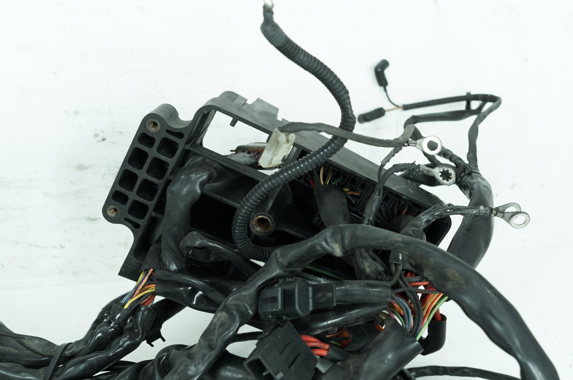 1999 - 2006 Harley-Davidson Dyna Low Rider Main Wire Wiring Harness Loom 69602-04A