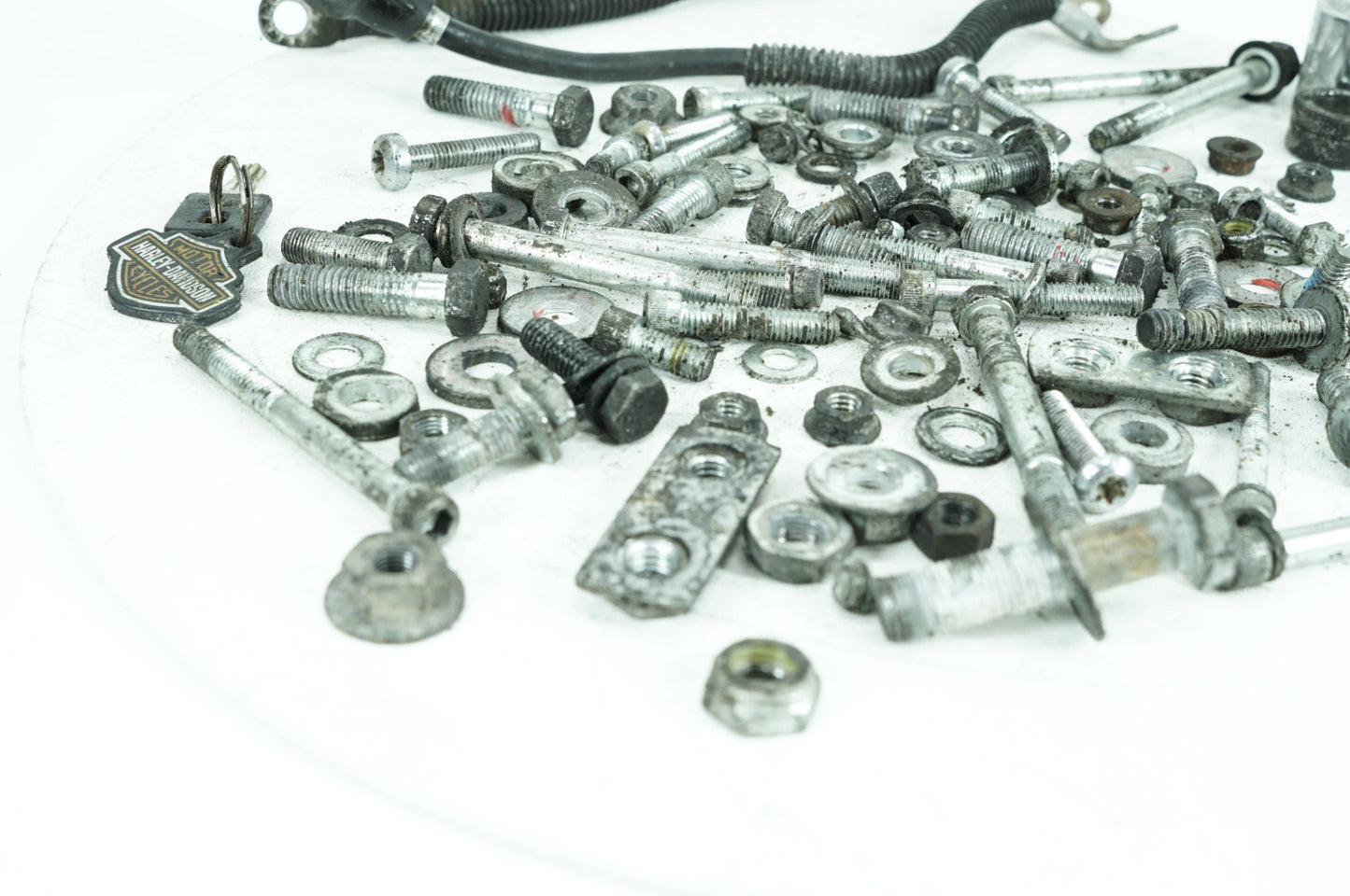 1986 - 2003 Harley-Davidson Sportster 1200 Hardware Bolts Nuts & Brackets
