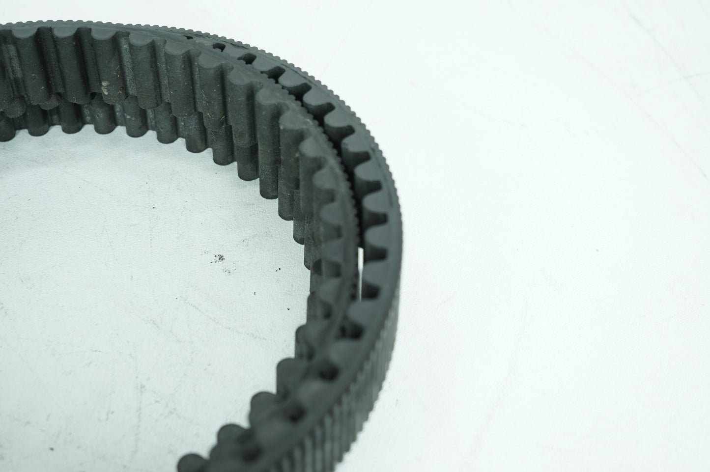 1999 - 2006 Harley-Davidson Softail Standard Rear Drive Belt 40307-00B