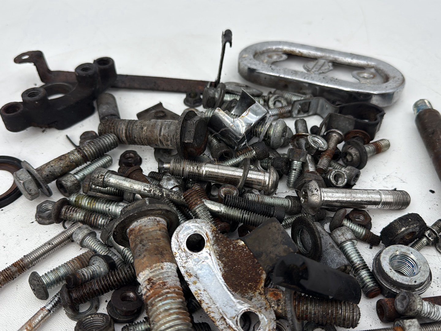 2004 - 2013 Harley-Davidson Sportster 883 Custom Hardware Bolts Nuts & Brackets
