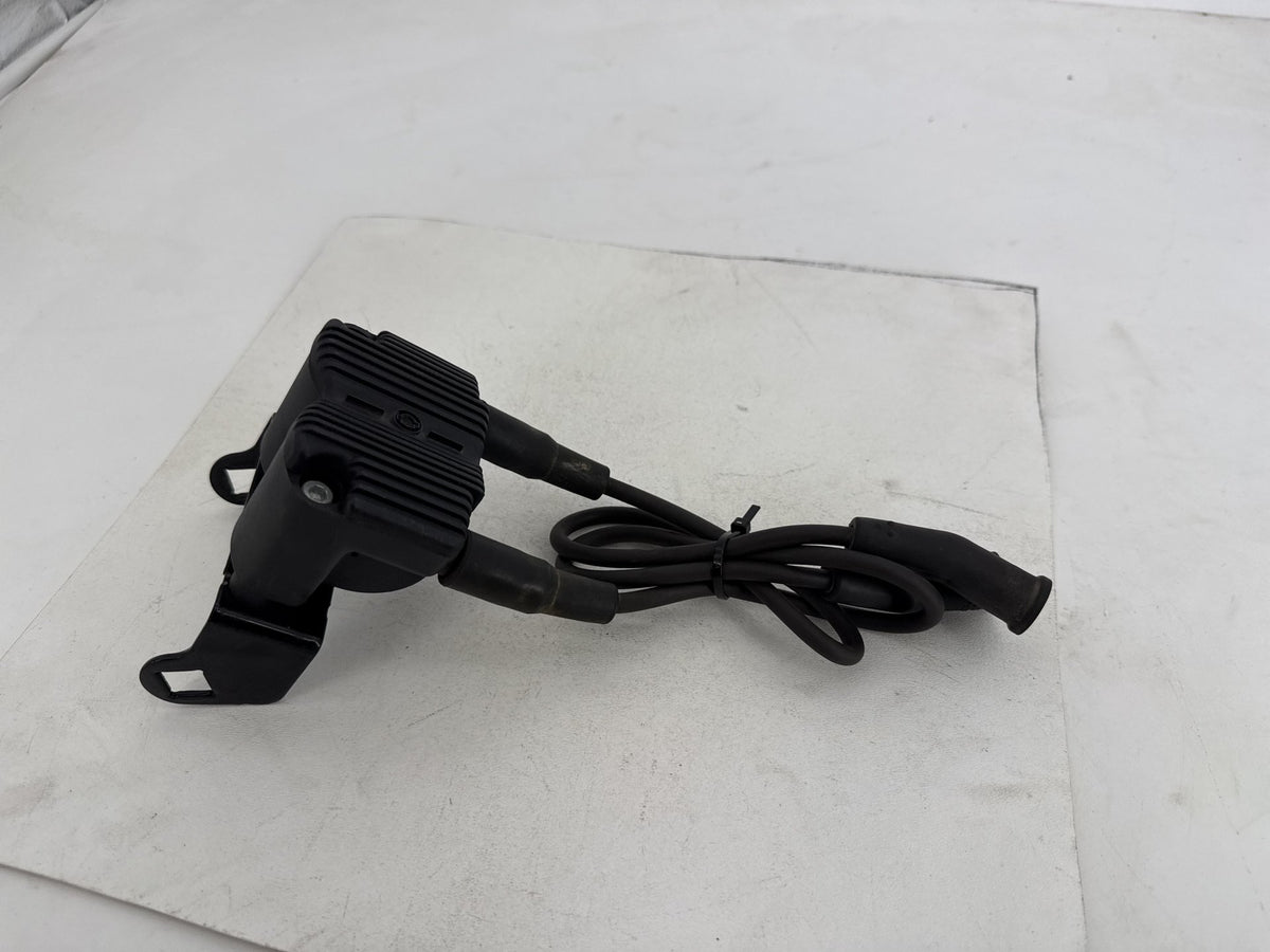 2007 Harley Electra Glide Touring CVO Eagle OEM Ignition Coil Spark Plugs Cable
