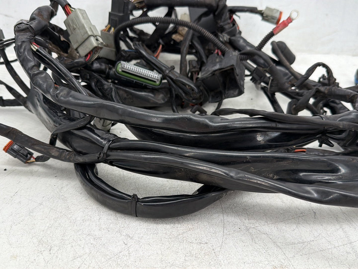 2005 Harley Road King Touring Police OEM Main Wire Wiring Harness Loom