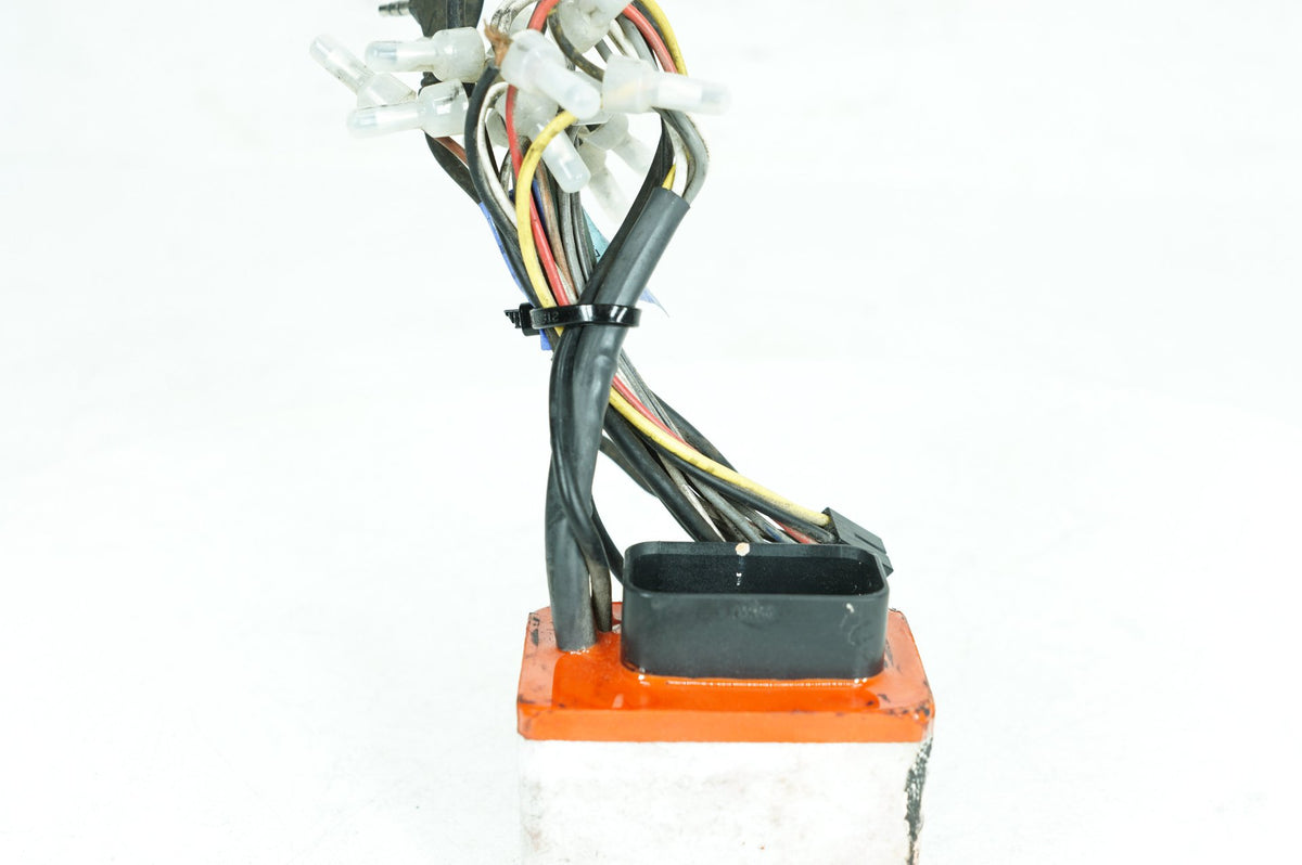 1999 - 2006 Harley-Davidson Touring Electra Glide Electronic Box Wiring Cable Connector