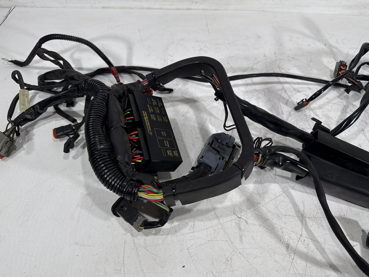 2003 Harley Softail Deuce FXSTDI OEM Main Wire Wiring Harness Loom EFI