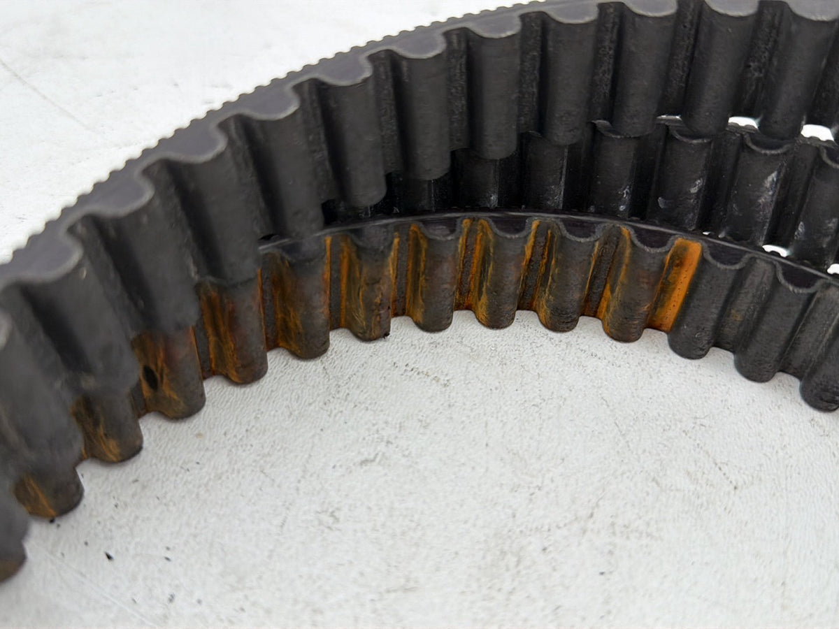Rear Drive Belt