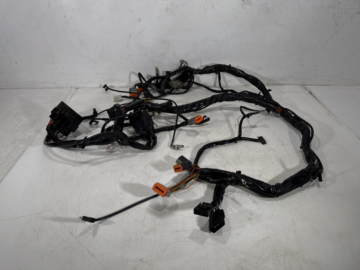 2002 Harley Electra Glide Touring Classic OEM Main Wire Wiring Harness Loom CARB