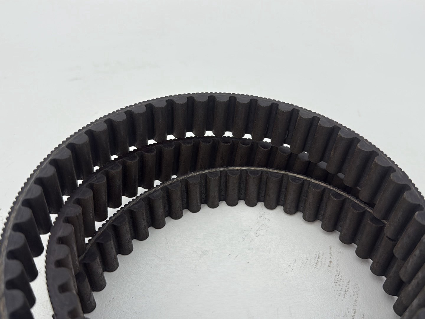 2003 Harley Sportster XL1200C 1200 Custom Anniversary OEM Rear Drive Belt